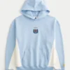 Argentijnse voetbalbond hoodie met print