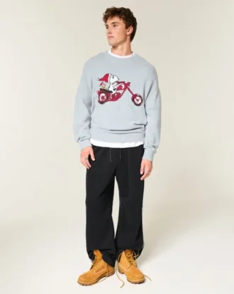 Boxy Snoopy Graphic Crew Sweater Boxy Snoopy Graphic Crew Sweater