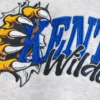 Boxy University of Kentucky Wildcats hoodie met print Boxy University of Kentucky Wildcats hoodie met print