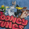 Looney Tunes grafisch denim jack Looney Tunes grafisch denim jack