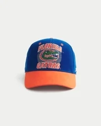 University of Florida Gators baseballpet met afbeelding