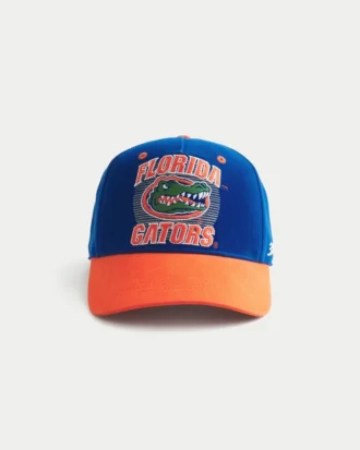 University of Florida Gators baseballpet met afbeelding