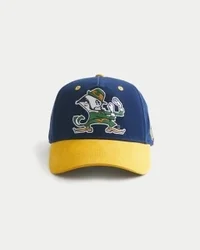 University of Notre Dame Fighting Irish baseballpet met print