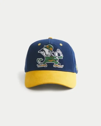 University of Notre Dame Fighting Irish baseballpet met print